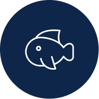 fish icon