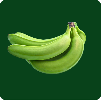 plantain