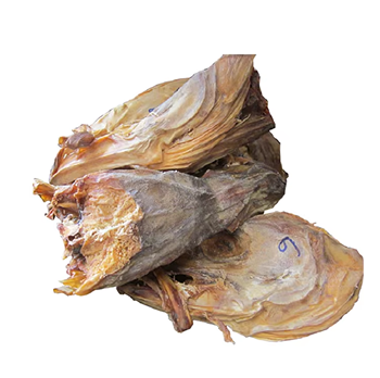 stockfish